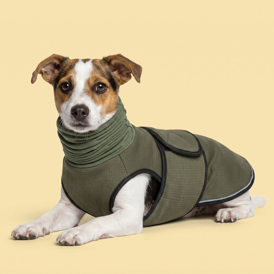 The Calm Coat