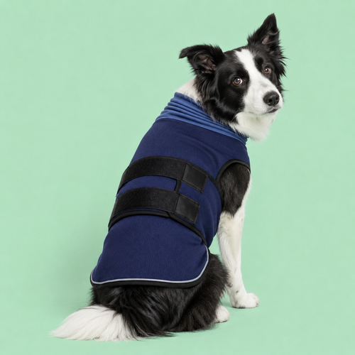 The Calm Coat